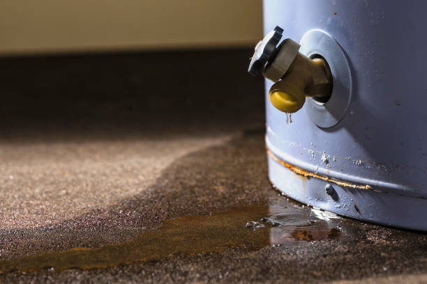 Best Water damage restoration services  in Lake Marcel Stillter, WA