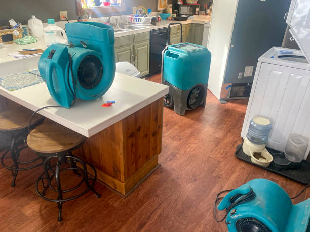 Best Fire Damage Restoration  in Lake Marcel Stillter, WA