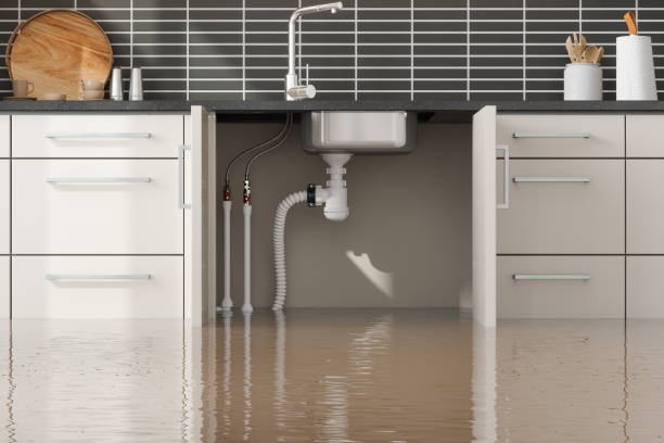 Best Water damage restoration experts  in Lake Marcel Stillter, WA